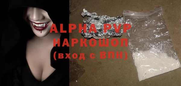 шишки Инта
