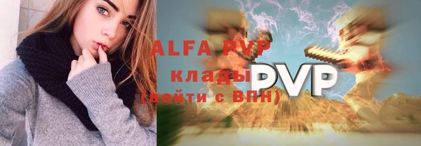 шишки Инта