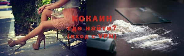 шишки Инта