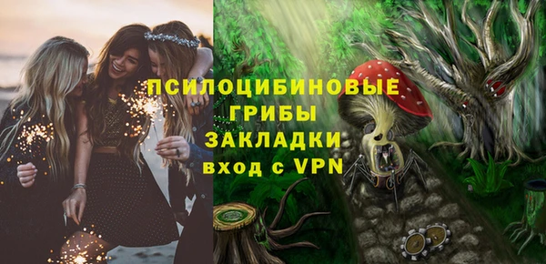 шишки Инта