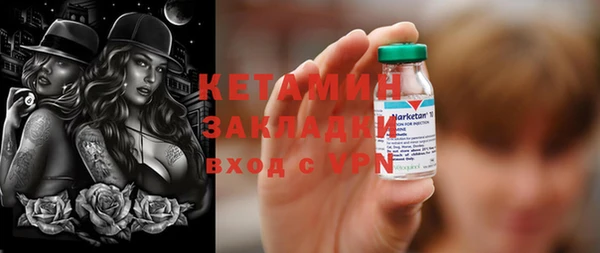 шишки Инта