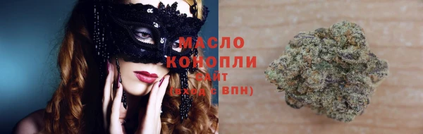 шишки Инта