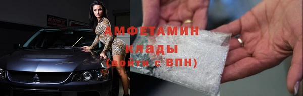 шишки Инта