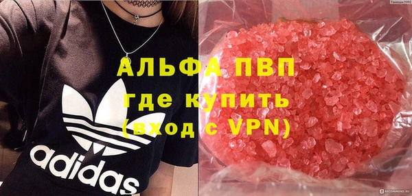 стаф Инсар