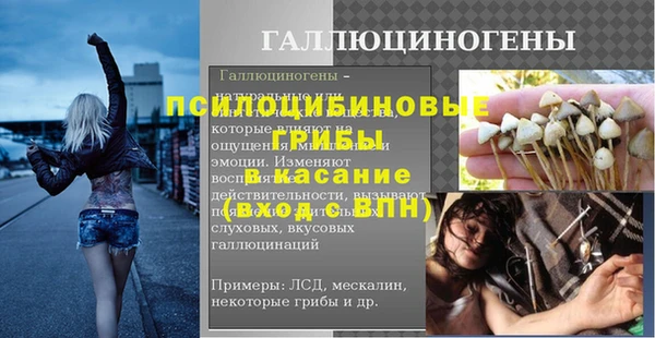 шишки Инта