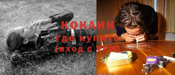 стаф Инсар