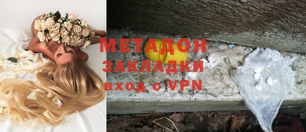 шишки Инта