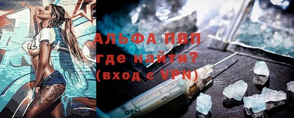 шишки Инта