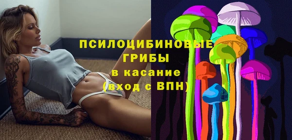 стаф Инсар