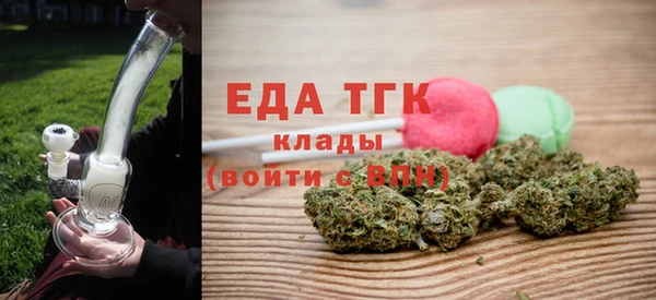 шишки Инта