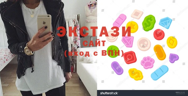 шишки Инта