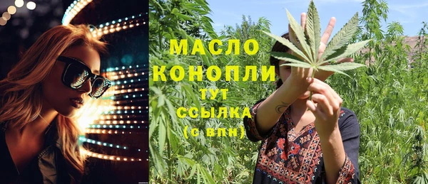 шишки Инта
