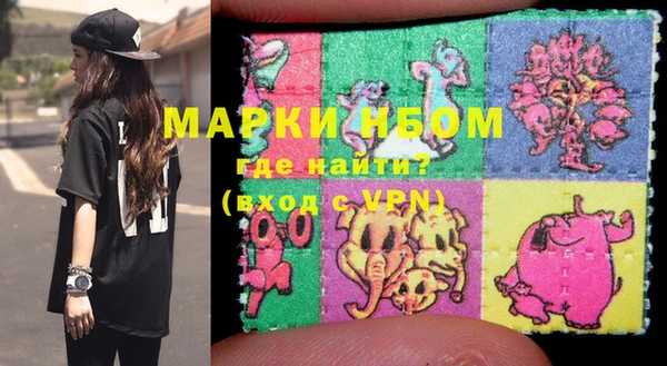 шишки Инта