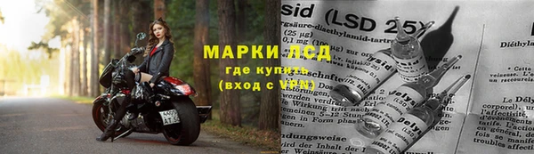стаф Инсар